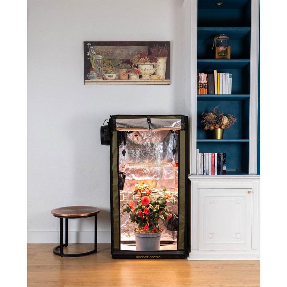 Secret Jardin For Twenty 100 Grow Box set - Complete Grow